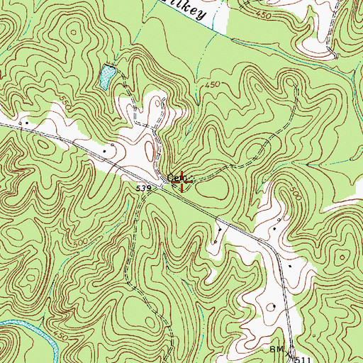 Topographic Map of Piney Grove Church (historical), SC