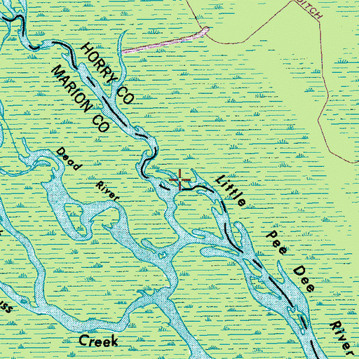 Topographic Map of Brunson Swamp, SC