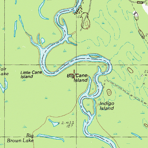 Topographic Map of Big Cane Island, SC