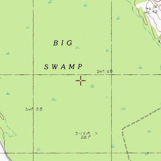 Topographic Map of Big Swamp, SC