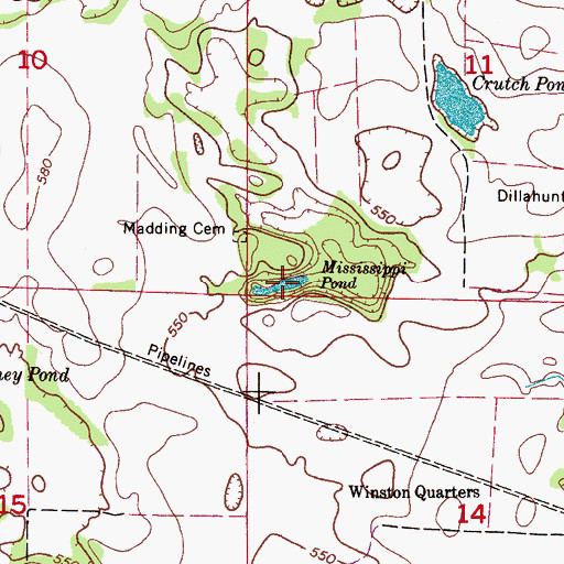 Topographic Map of Mississippi Pond, AL