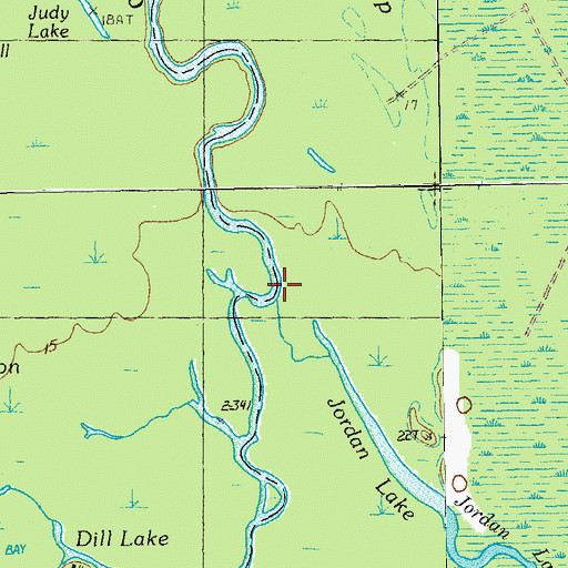 Topographic Map of Palmetto Swamp, SC
