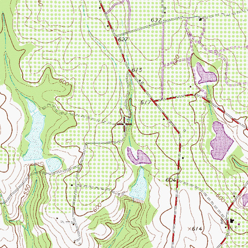 Topographic Map of Bauknight School (historical), SC