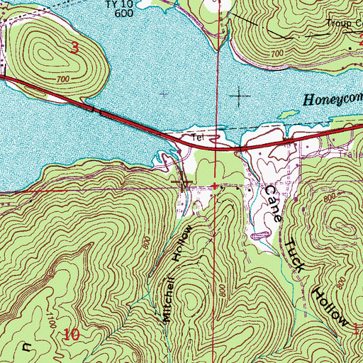 Topographic Map of Mitchell Hollow, AL