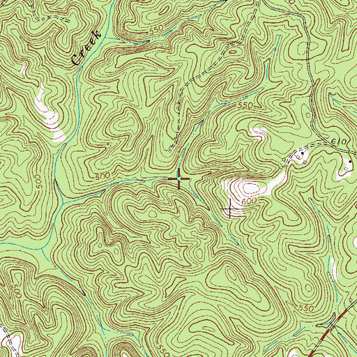 Topographic Map of Diamond Spring, SC