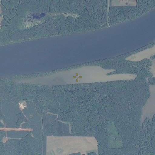 Aerial/Satellite Image of Mitchell Pond, AL