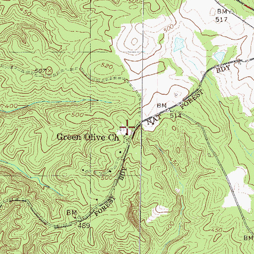 Topographic Map of Green Olive School (historical), SC