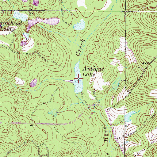 Topographic Map of Antique Lake, SC