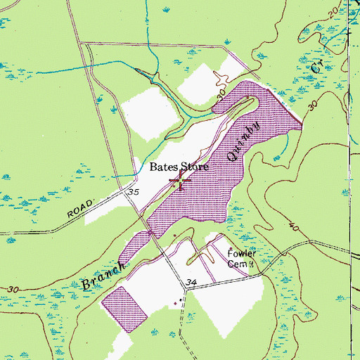 Topographic Map of Bates Store, SC