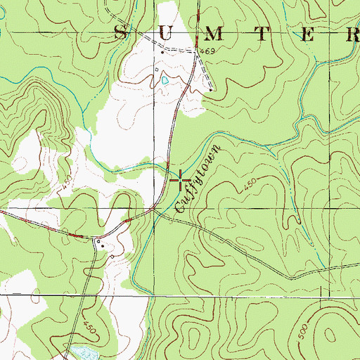 Topographic Map of Beaverdam Creek, SC