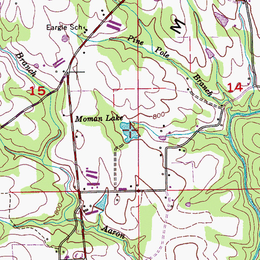 Topographic Map of Moman Lake, AL