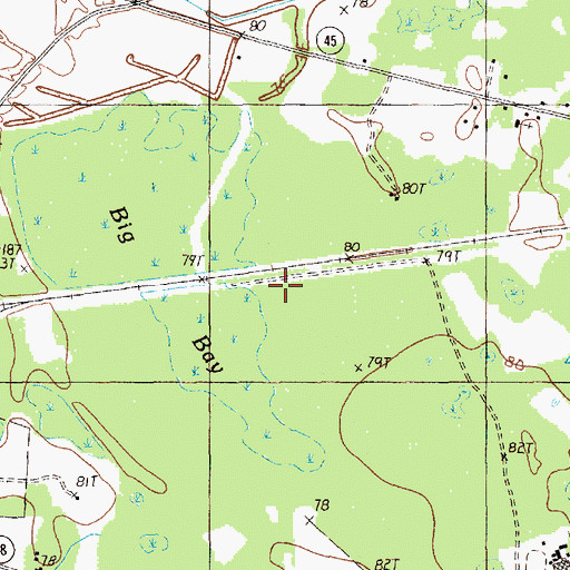 Topographic Map of Big Bay, SC