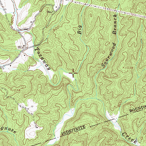 Topographic Map of Big Branch, SC