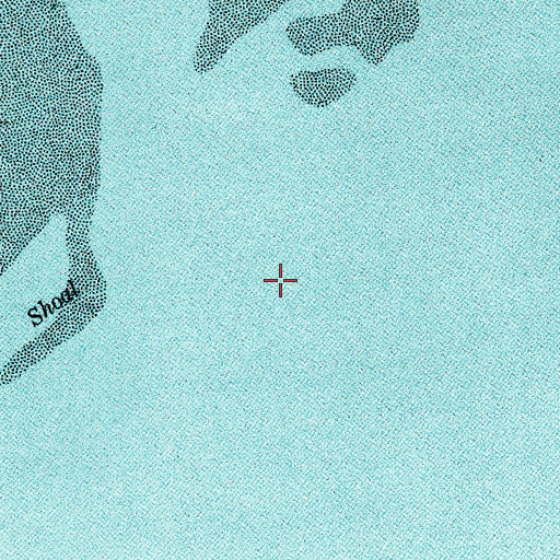 Topographic Map of Bird Island (historical), SC