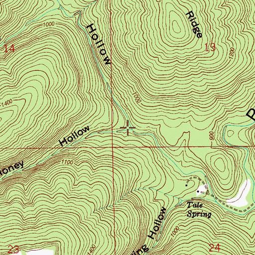 Topographic Map of Money Hollow, AL