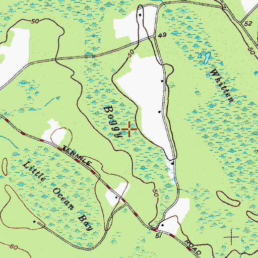 Topographic Map of Boggy Swamp, SC