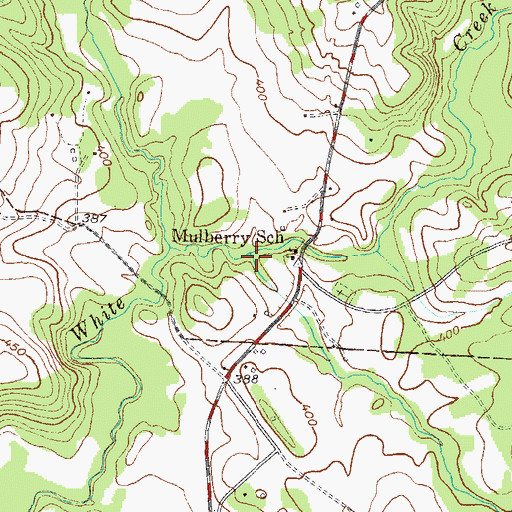 Topographic Map of Bowie Branch, SC