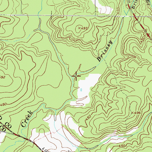Topographic Map of Brissey Branch, SC