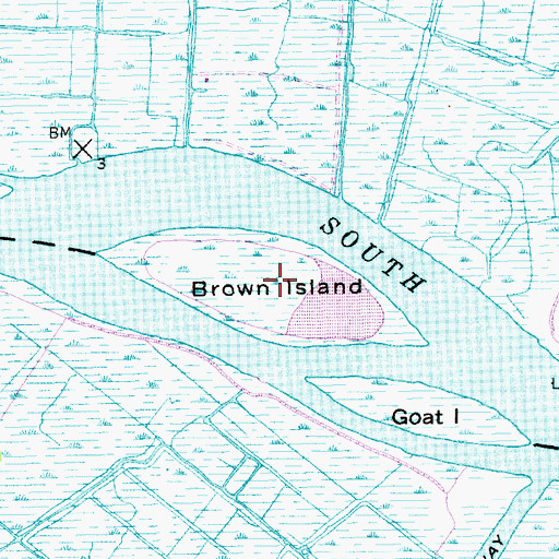 Topographic Map of Brown Island, SC