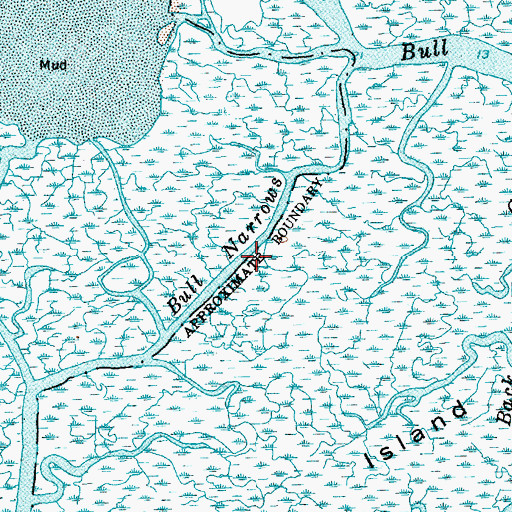 Topographic Map of Bull Narrows, SC
