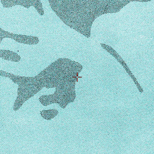 Topographic Map of Bulls Bay, SC