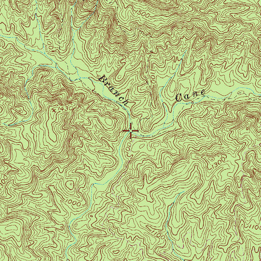 Topographic Map of Bully Branch, SC