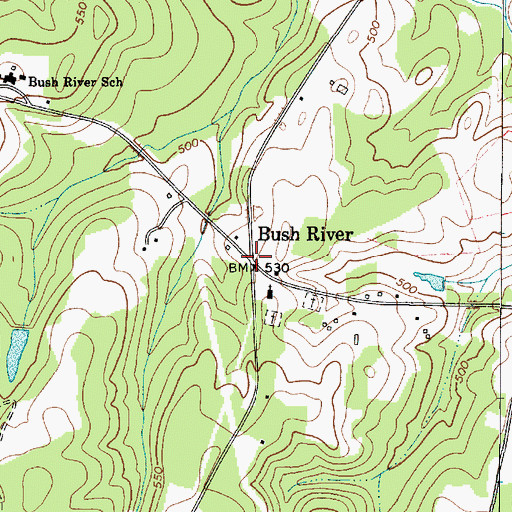 Topographic Map of Bush River, SC