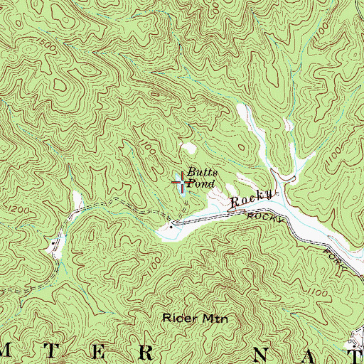 Topographic Map of Butts Pond, SC