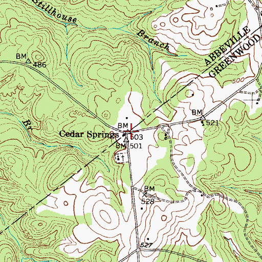 Topographic Map of Cedar Springs, SC
