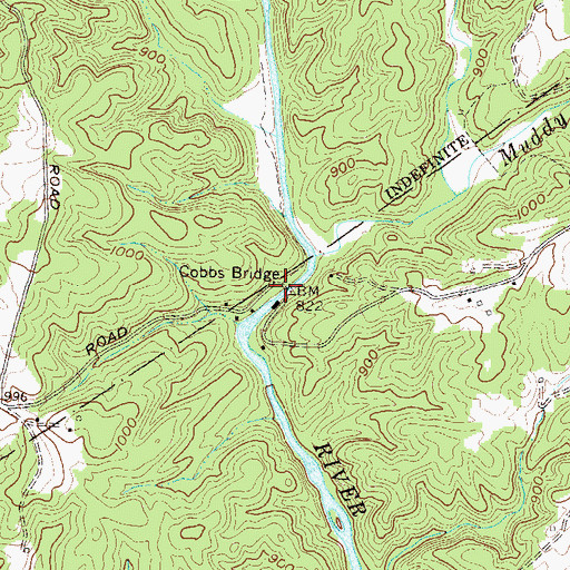Topographic Map of Cobbs Bridge, SC