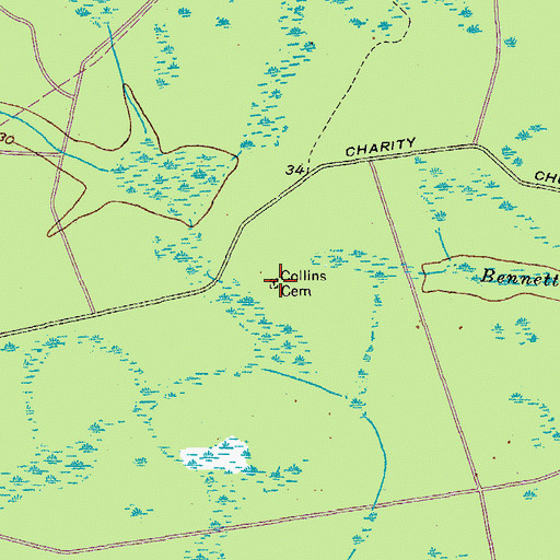 Topographic Map of Collins Cemetery, SC