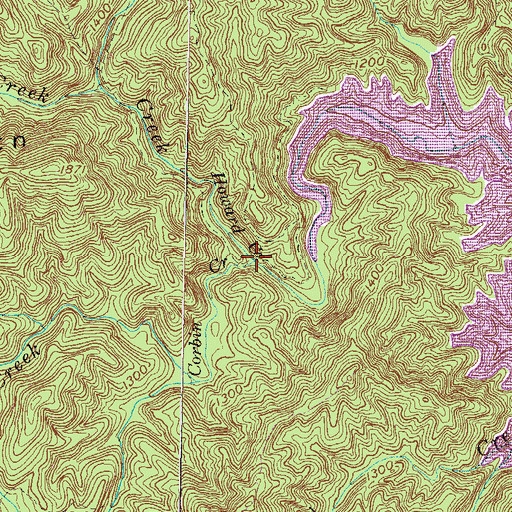 Topographic Map of Corbin Creek, SC