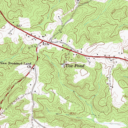 Topographic Map of Cox Pond, SC