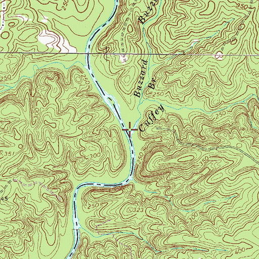Topographic Map of Cuffey Branch, SC