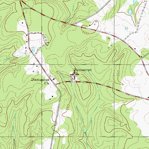 Topographic Map of Damascus Church, SC