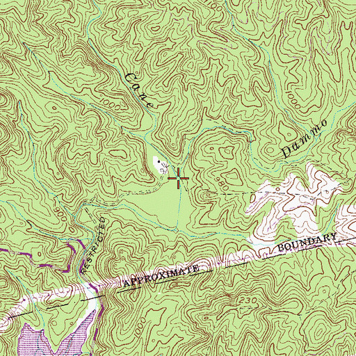 Topographic Map of Dammo Branch, SC