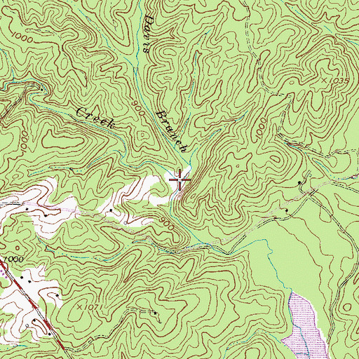 Topographic Map of Davis Branch, SC