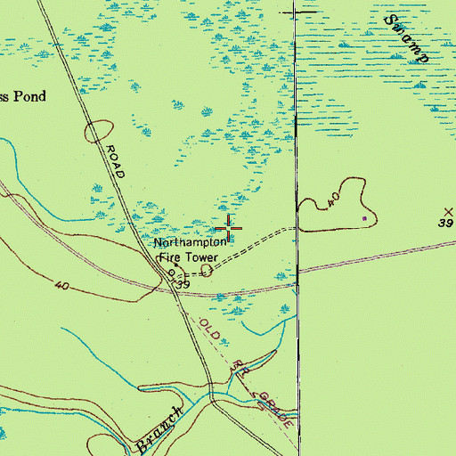 Topographic Map of Dog Swamp, SC