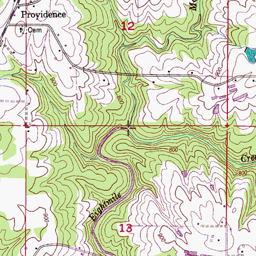 Topographic Map of Moody Branch, AL