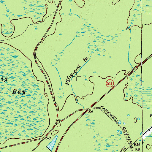 Topographic Map of Fifty-cent Branch, SC