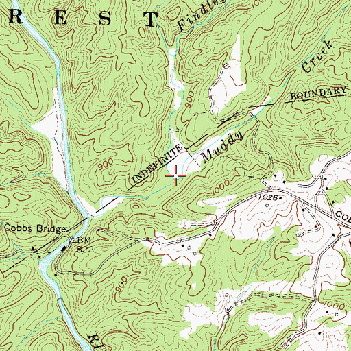 Topographic Map of Findley Branch, SC