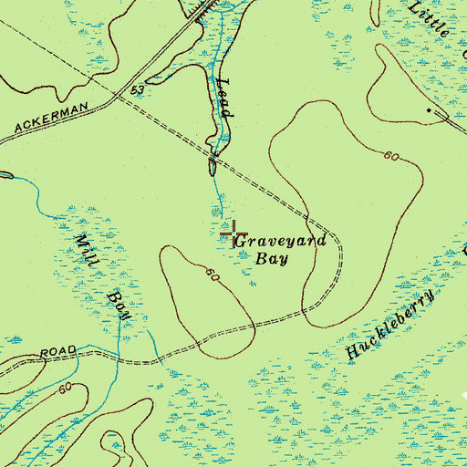 Topographic Map of Graveyard Bay, SC