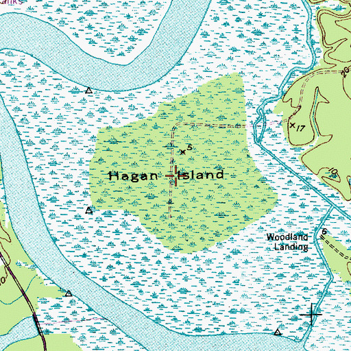 Topographic Map of Hagan Island, SC