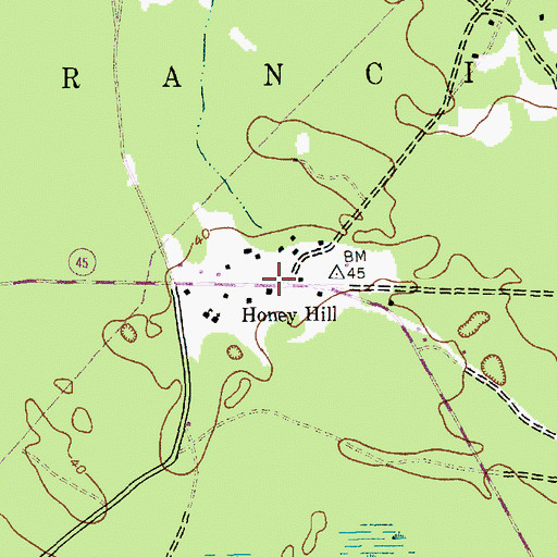 Topographic Map of Honey Hill, SC