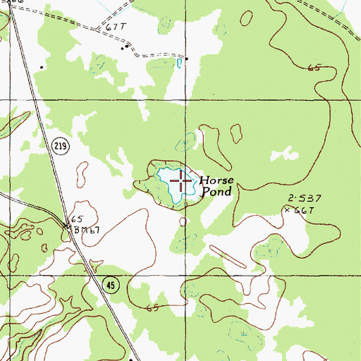 Topographic Map of Horse Pond, SC