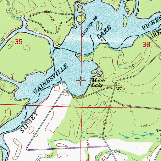Topographic Map of Moon Lake, AL