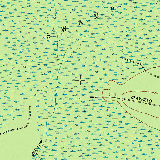 Topographic Map of I'on Swamp, SC