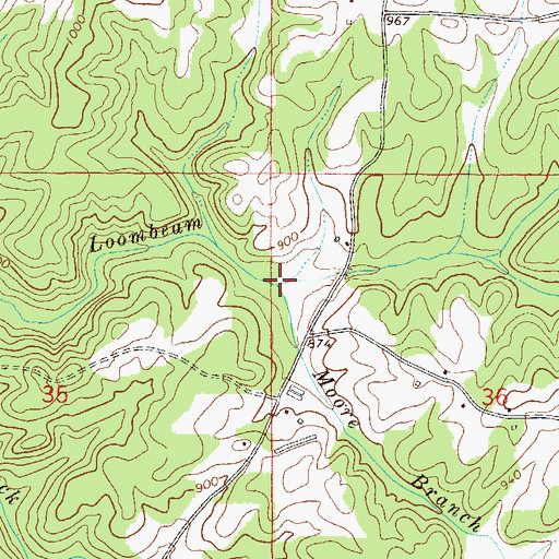 Topographic Map of Moore Branch, AL
