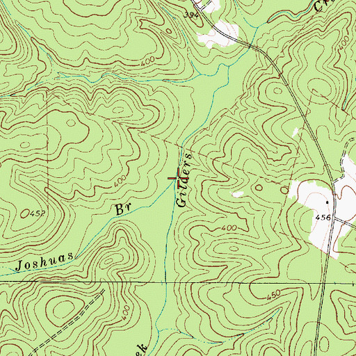 Topographic Map of Joshuas Branch, SC