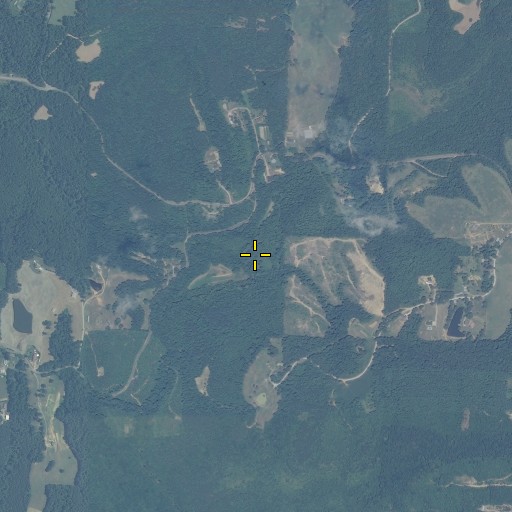 Aerial/Satellite Image of Moore Branch, AL